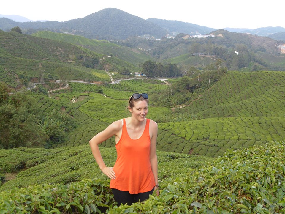Pemandangan di kedai BOH Tea