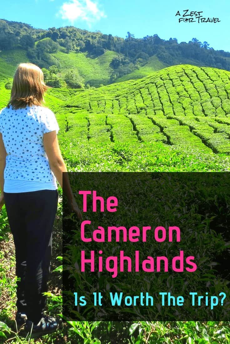 Panduan Cameron Highlands