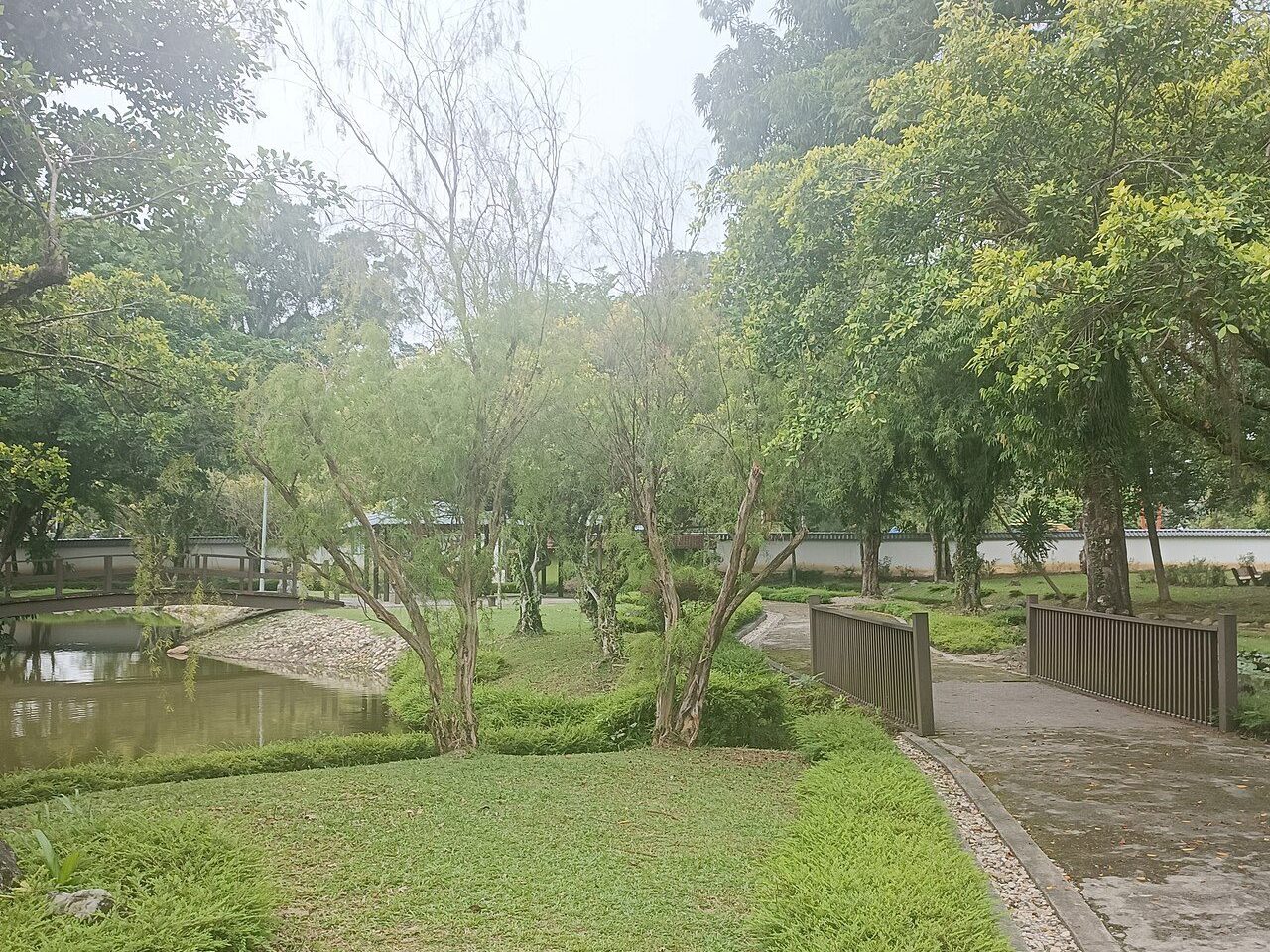 Lawn, pond, wooden bridge and paved path under trees in DR Seenivasagam Park, Ipoh
