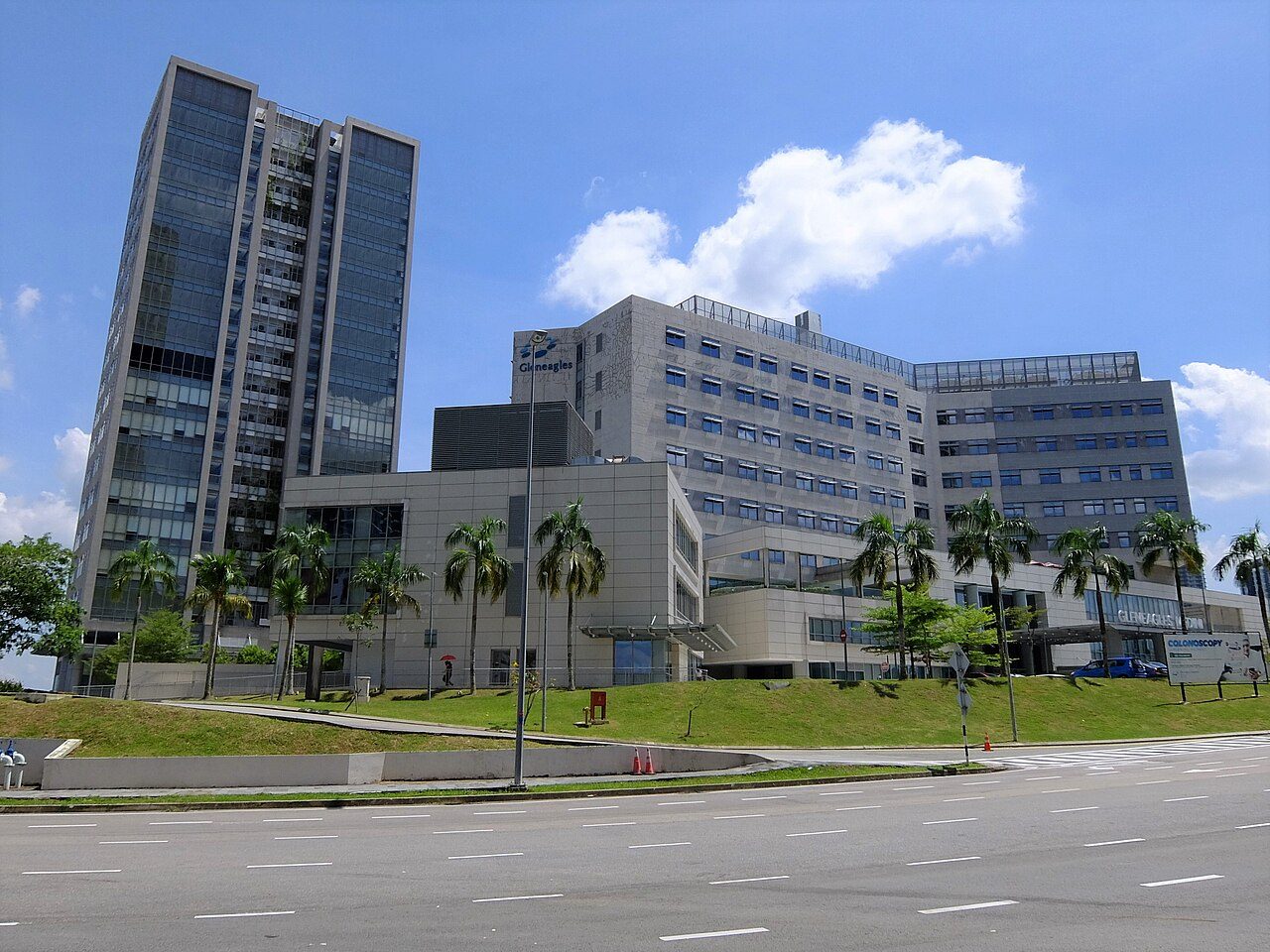 Gleneagles Hospital in Medini, Iskandar Puteri, a grey multi-storey building with the Gleneagles logo, palm trees and a grassy slope in front, next to a glass office tower