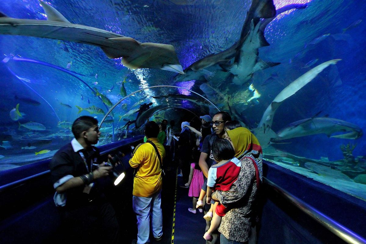Pengunjung berjalan melewati terowongan hiu bawah air di Aquaria KLCC, Kuala Lumpur