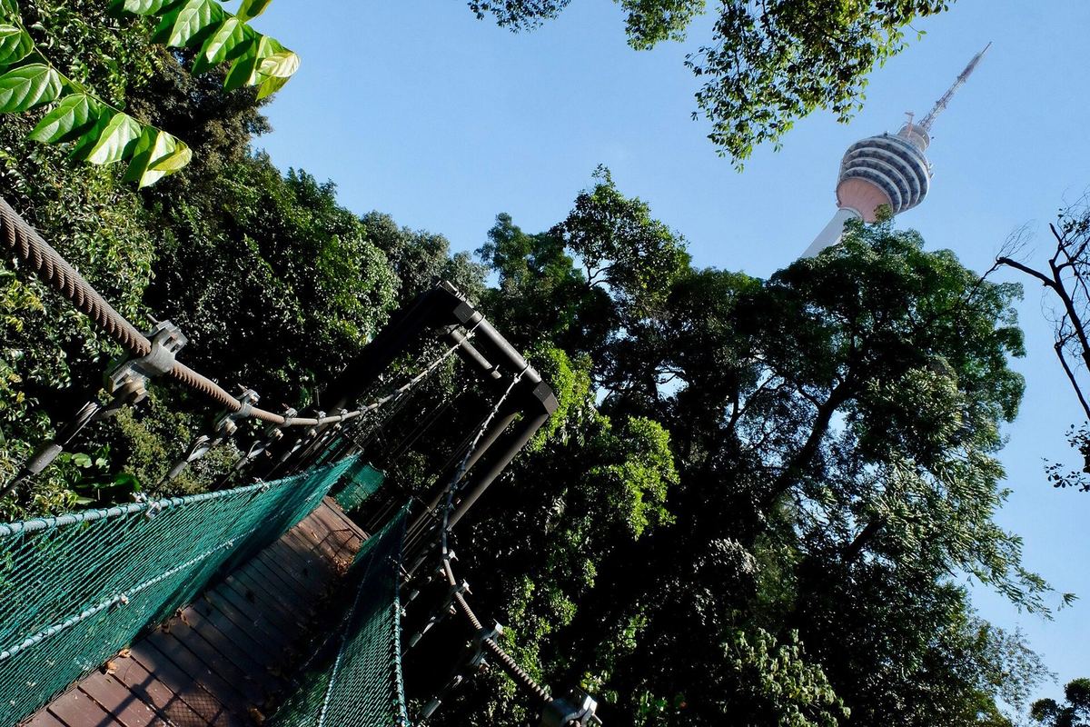 Jalur kanopi menembus hutan hujan di KL Forest Eco Park dengan KL Tower di atasnya, Kuala Lumpur