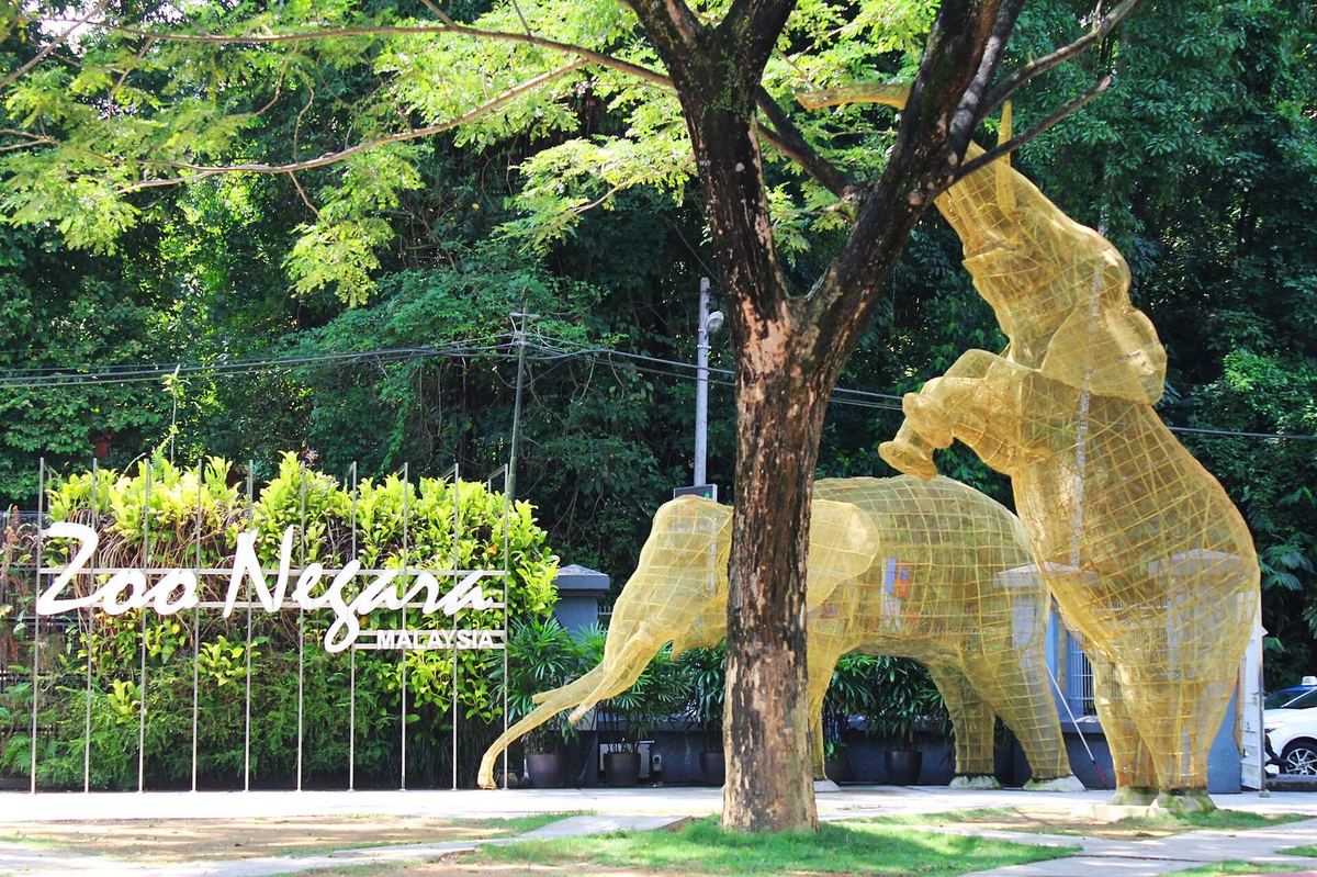 Papan nama Zoo Negara dan patung gajah di pintu masuk kebun binatang nasional, dekat Kuala Lumpur