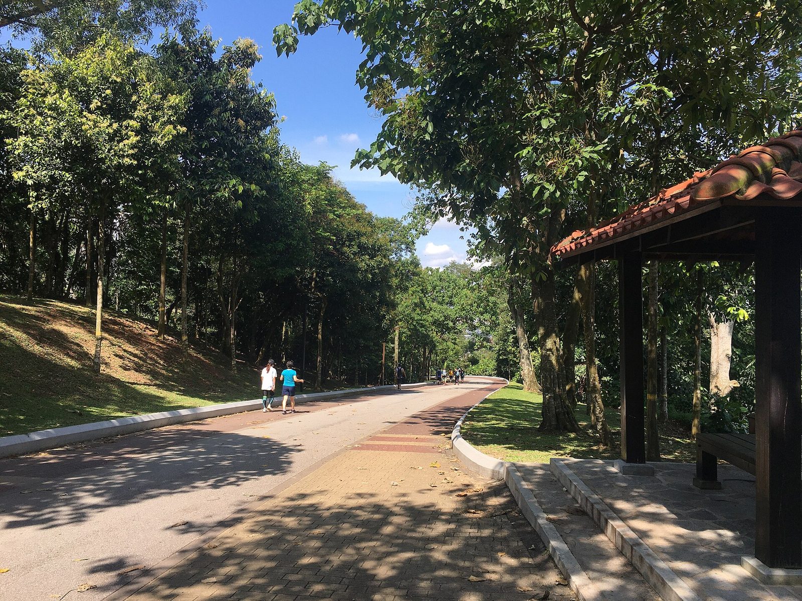Para pejalan di jalan setapak beraspal yang teduh dengan pondok peristirahatan di sampingnya di Bukit Kiara Park, Kuala Lumpur