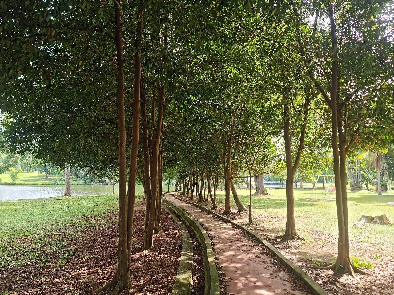 A shaded, tree-lined footpath across a lawn beside Ayer Keroh Lake
