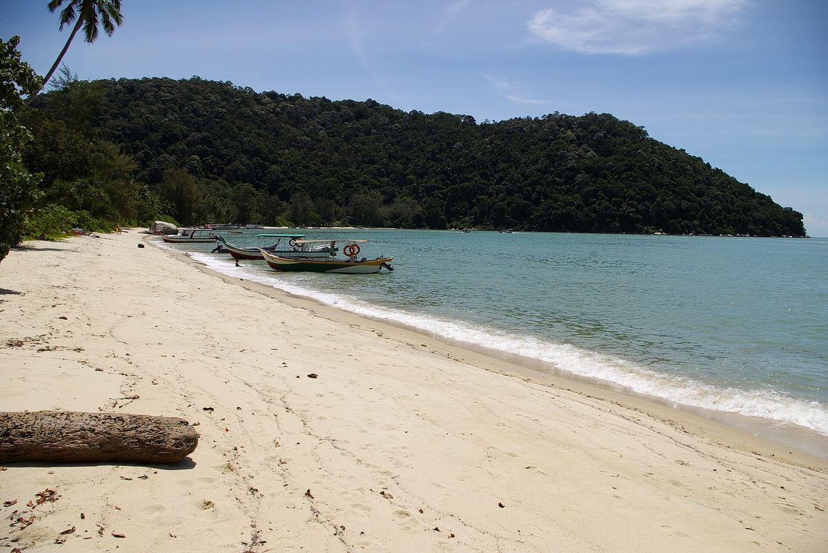 槟城国家公园猴子海滩（Teluk Duyung）宁静的沙滩和停泊的船只