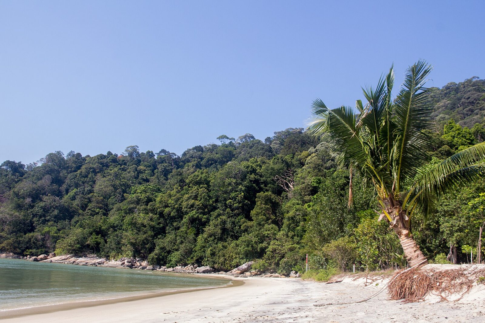 槟城国家公园内的 Teluk Kampi，是槟城最安静的海滩之一，空旷的沙滩与森林相连