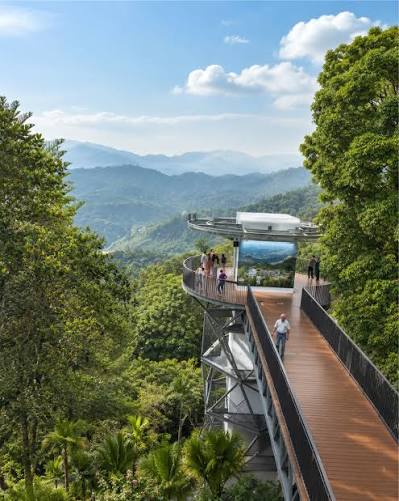 Curtis Crest Tree Top Walk di The Habitat, Bukit Bendera, menghadap bukit-bukau berhutan