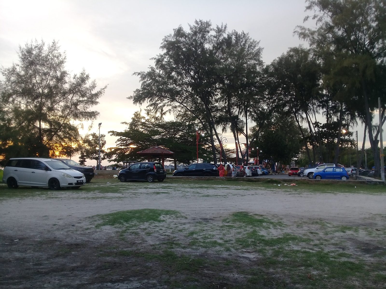 Cars parked under casuarina trees beside the beachfront at Pantai Bagan Lalang, Sepang, at sunset