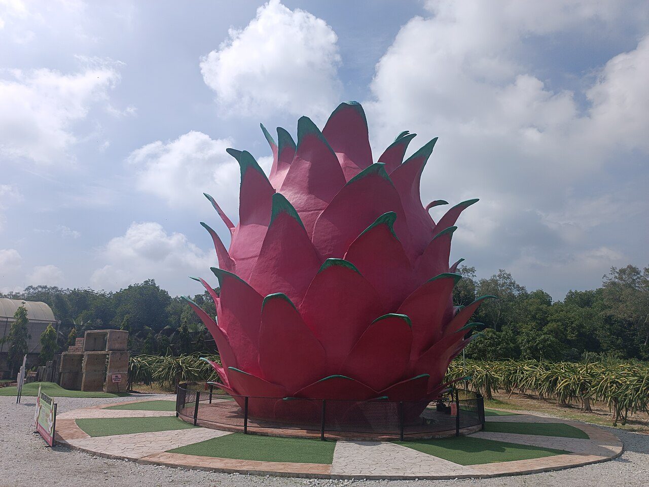 A giant pink dragon fruit sculpture on a lawn at HL Dragon Fruit Eco Farm in Sepang, with rows of dragon fruit plants behind