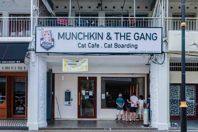 Cat Cafes in Penang