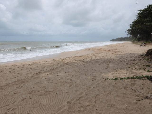 A wide, empty sandy beach at Desaru with breaking waves and casuarina trees under a cloudy sky