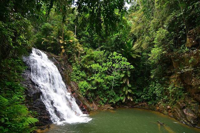 A white waterfall pouring over dark rock into a green pool, surrounded by thick forest, at Kota Tinggi Waterfalls