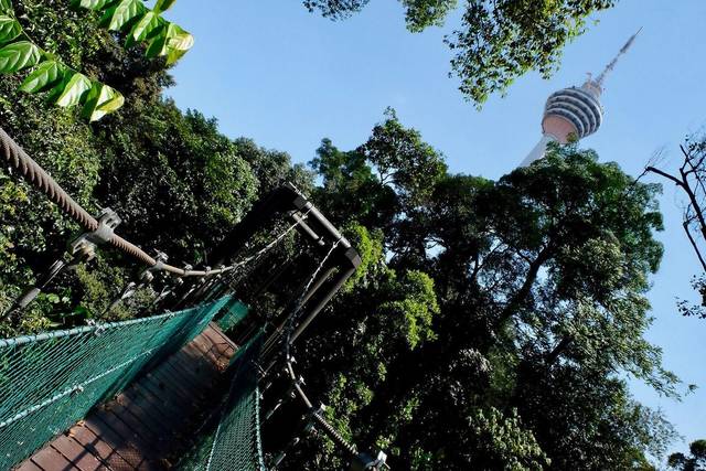 Canopy walk through the rainforest at KL Forest Eco Park with KL Tower above, Kuala Lumpur