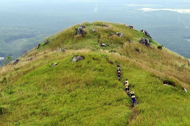 Barisan pendaki menaiki punggung bukit berumput Broga Hill dengan bebatuan dan hutan di bawahnya