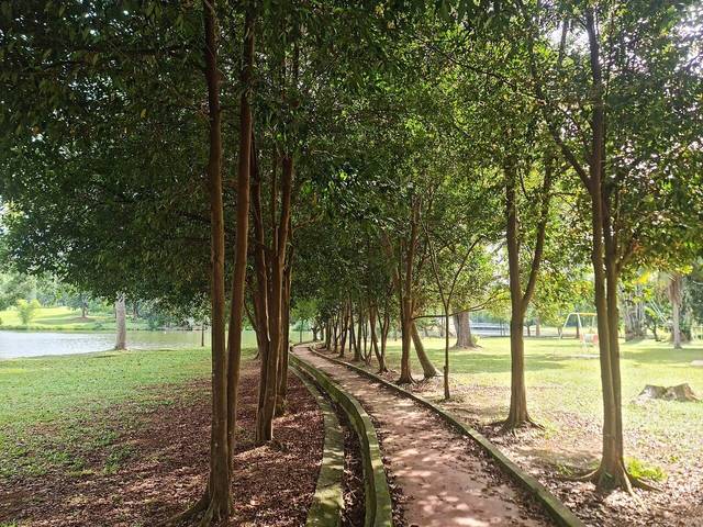 A shaded, tree-lined footpath across a lawn beside Ayer Keroh Lake