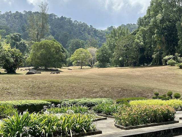 Lawns and forested hills inside Penang Botanic Gardens, George Town, Penang