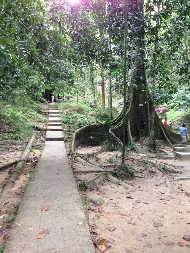 Hutan Rekreasi Bukit Mertajam (Cherok Tokun)