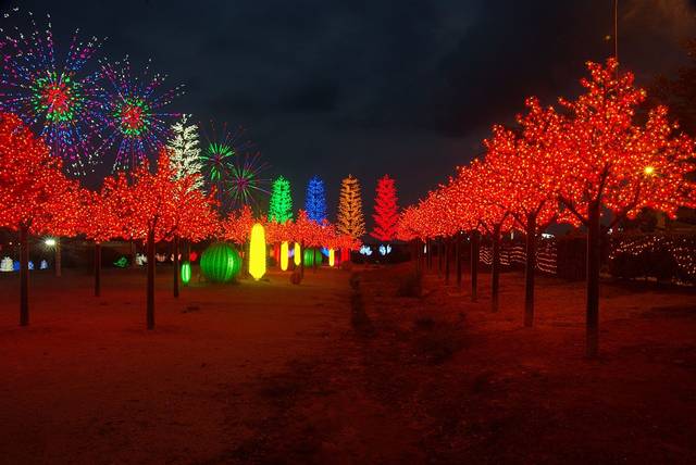 Red LED trees and coloured light sculptures at i-City, Shah Alam, after dark