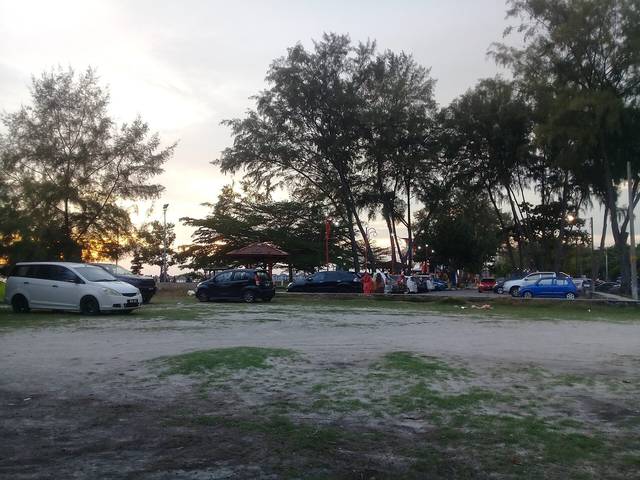 Cars parked under casuarina trees beside the beachfront at Pantai Bagan Lalang, Sepang, at sunset